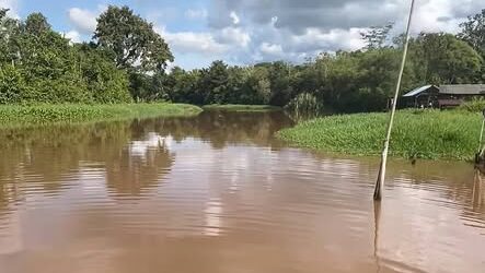 Diduga Terdampak PETI dan Limbah Sawit, Air Sungai Retok yang Keruh Dikeluhkan Warga