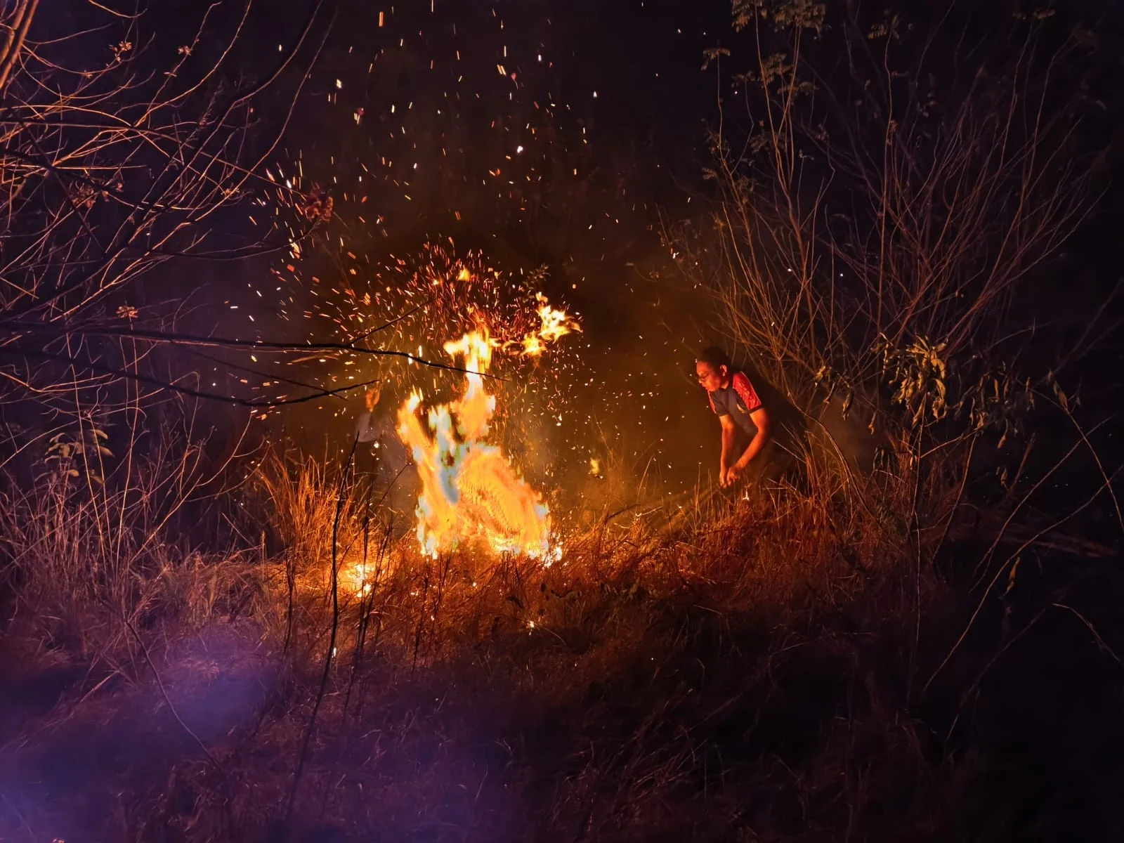 Puluhan Hektare Area Hangus Akibat Kebakaran Hutan dan Lahan di NTT Serta Kalimantan Timur