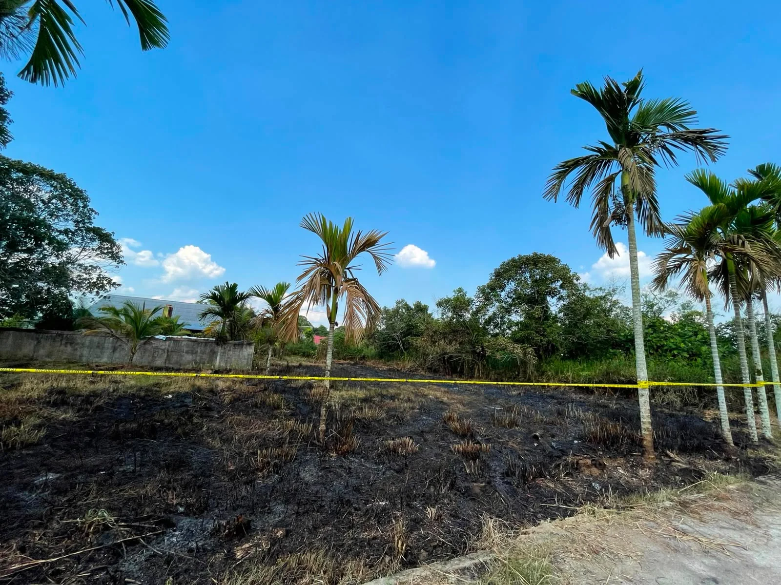 Aktivitas Tebas Bakar Picu Kebakaran Lahan di Kubu Raya