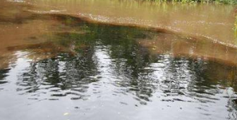Aktivitas Tambang Berhenti, Air Sungai Boyan di Sanggau Kembali Jernih
