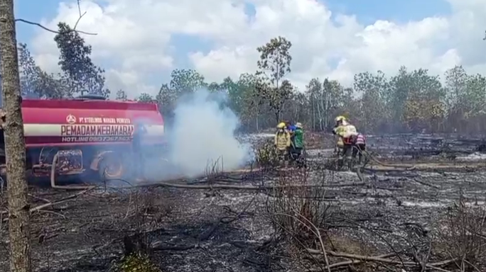 Karhutla Melanda Bangka Belitung, Lahan 8 Hektar Terbakar di Dua Kabupaten