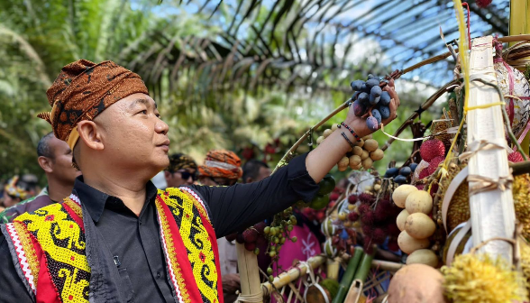 Menjangkap Buah, Tradisi Pengikat Rindu Masyarakat Dayak Jelai Sekayoq