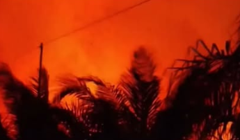 Seorang Warga Meninggal Akibat Terjebak Karhutla di Pelang Ketapang