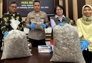 Polisi Bongkar Perdagangan Sisik Trenggiling di Pontianak, Setengah Ton Lebih Disita