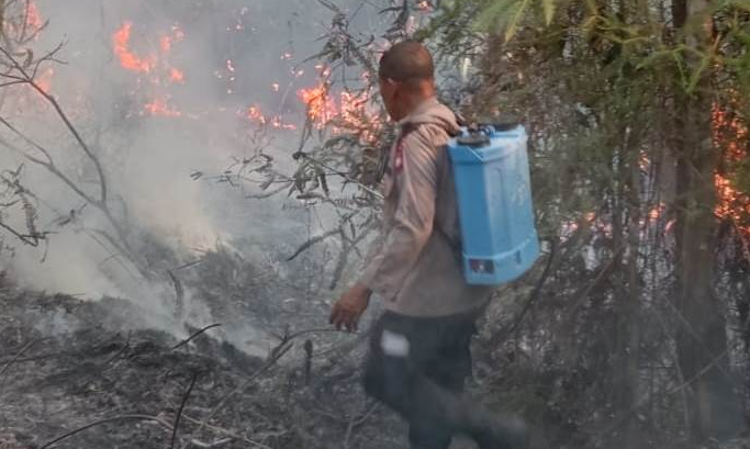 Sempat Padam, Api Kembali Berkobar di Nyandang dan Memicu Penanganan Karhutla di Sanggau