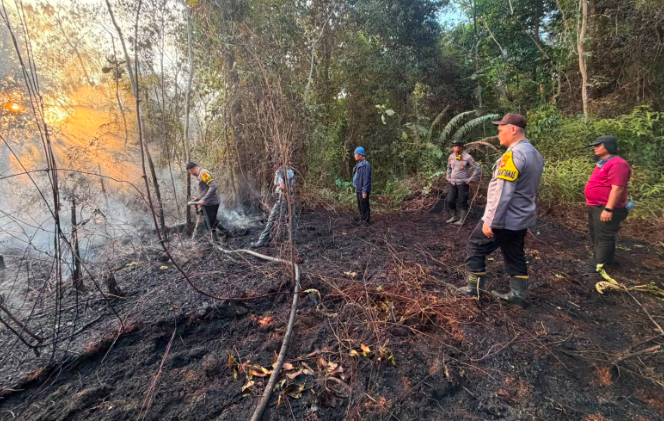 Sempat Padam, Kebakaran Lahan Gambut di Toba Kembali Berkobar