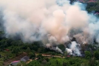 1.000 Hektar Lahan Hangus, Pemkab Minta Bantuan BNPB Atasi Karhutla di Kayong Utara