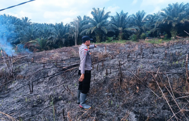 Terdeteksi 4 Sistem Satelit, 8 Titik Rawan Karhutla di Sanggau Diverifikasi Petugas
