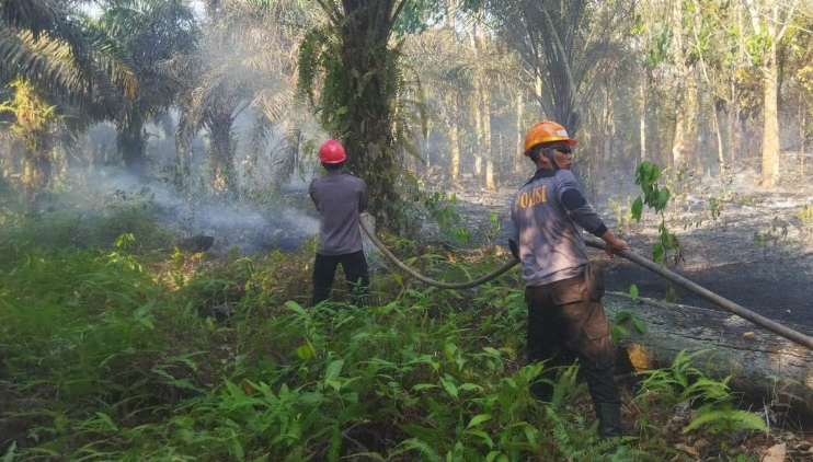 Kepemilikan Lahan Belum Diketahui, Polisi Selidiki Penyebab Kebakaran Lahan di Desa Subah