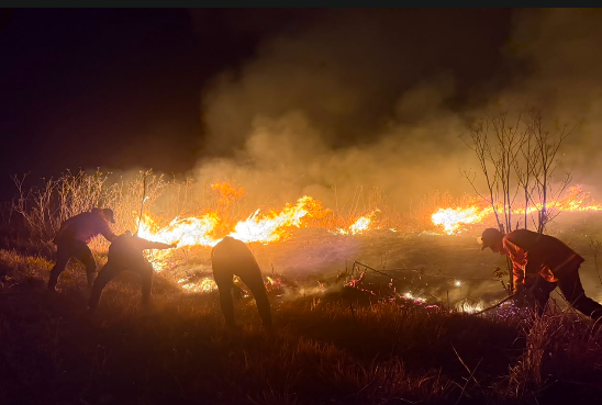 Kebakaran Hutan Gunung Bromo Hanguskan 520 Hektare Lahan, Akses Wisata Ditutup Total