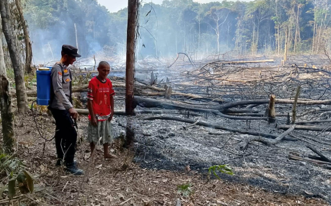 19 Titik Panas Terpantau di Parindu Akibat Aktivitas Pembukaan Ladang Warga