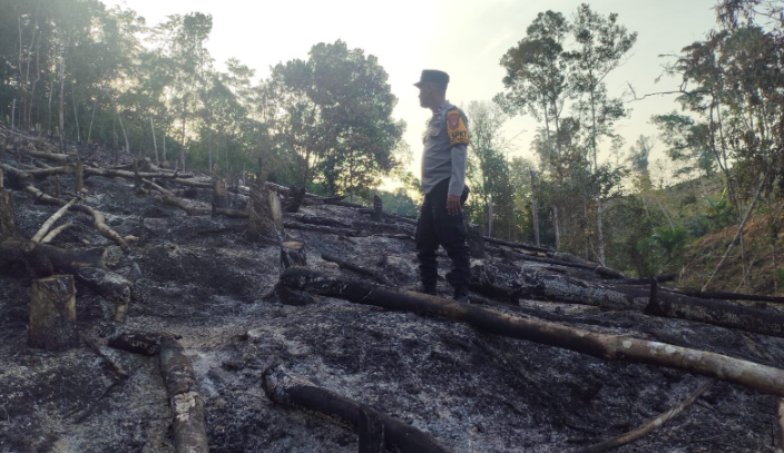 Pembakaran Lahan untuk Persiapan Sawah Picu Deteksi Hotspot di Beduai