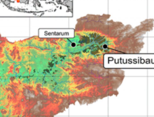 Lahan Gambut Purba di Pedalaman Kalimantan Berusia 47.800 Tahun