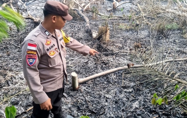 Aktivitas Bakar Lahan Pertanian Terpantau di Desa Sotok Picu Kabut Asap