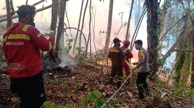 Puntung Rokok Diduga Picu Karhutla di Kayutunu Sanggau