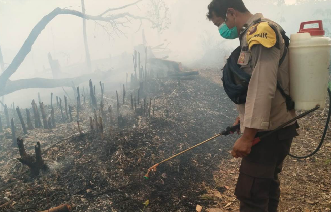 Dua Hotspot di Mukok Sanggau Ternyata Lahan Padi Warga