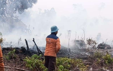 Mempawah Dikepung 44 Titik Panas, Pemadaman Terkendala Akses Air