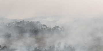Diduga Pemicu Karhutla, 4 Perusahaan di Kalbar Diselidiki