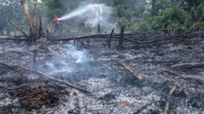 Instruksi Prabowo: Cabut Perda Bakar Lahan Kalbar Nomor 1 Tahun 2022