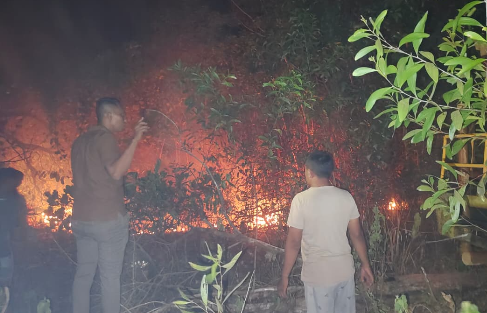 Ratusan Hektare Lahan di Lampung dan Maluku Utara Terbakar