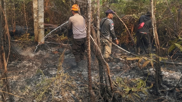 Lagi!!! Lahan 0,8 Hektare Terbakar di Jalan Trans Kalimantan Sanggau