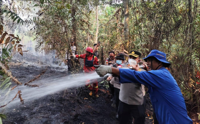 Karhutla Melalap Lahan di Tanjung Sekayam Sanggau