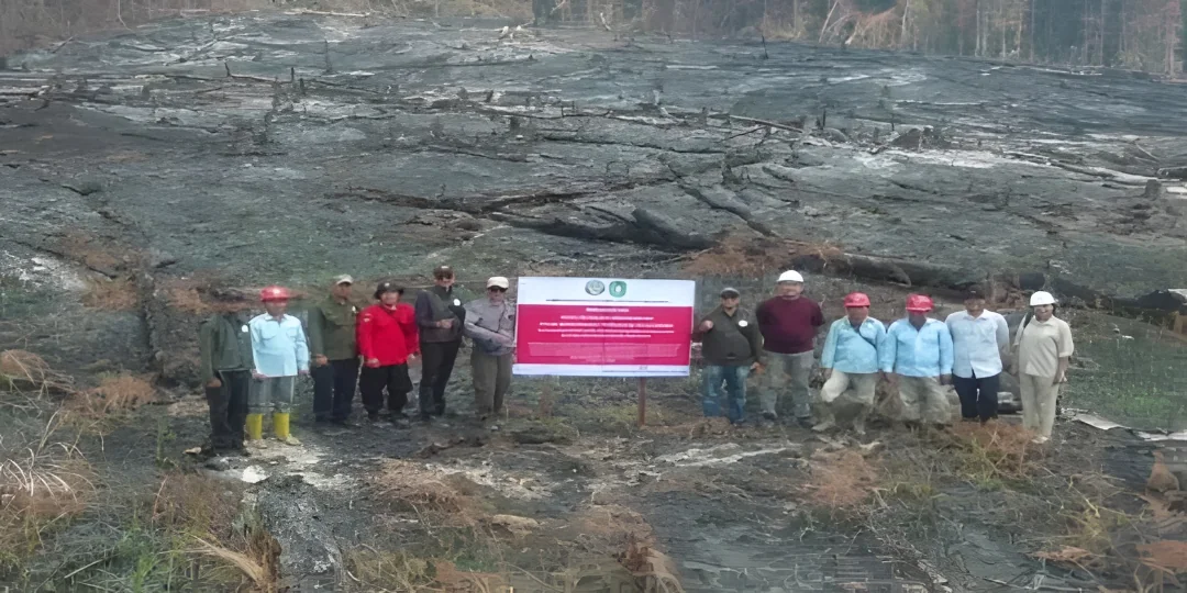Karhutla Berulang, Kemenhut Bekukan Izin PT MPK di Kalimantan Barat