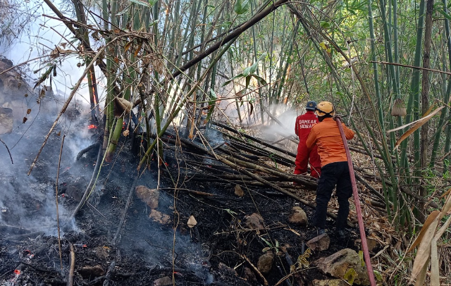 Lahan 14 Hektare Terbakar di Sidenreng Rappang