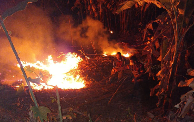 Enam Hektare Lahan di Pandeglang Ludes Terbakar
