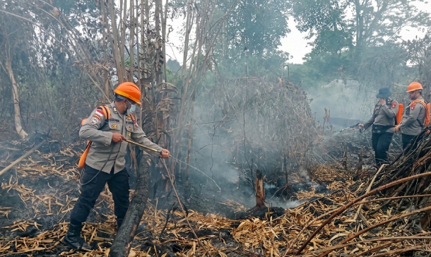 Karhutla Melalap 3,4 Hektare Lahan di Sekayam Sanggau