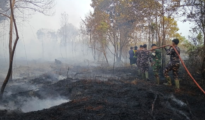 BNPB Catat Bencana Karhutla dan Kekeringan Terjang Empat Wilayah