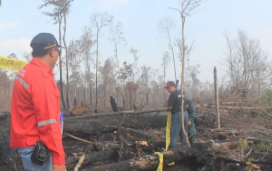 KLH Periksa 42 Perusahaan Diduga Terlibat Karhutla di Sumatera-Kalimantan