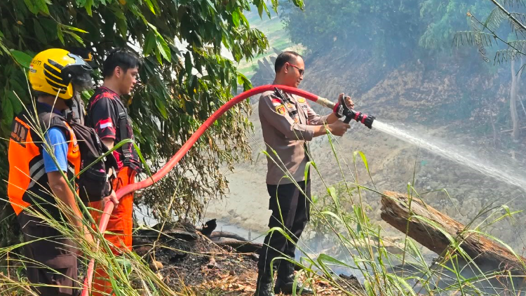 Kebakaran Lahan Meluas hingga 2,3 Hektare di Desa Pana Sanggau
