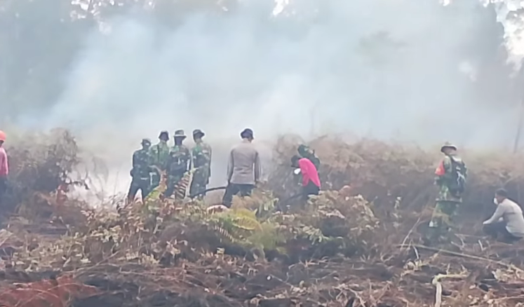 Karhutla Mempawah Kian Parah, 4 Hektare Gambut Kembali Hangus