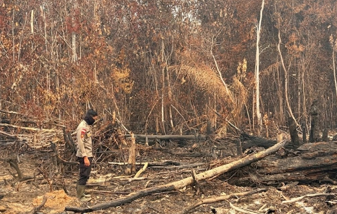 Sisa Bara Api Karhutla Masih Membara di Teraju dan Kemantan