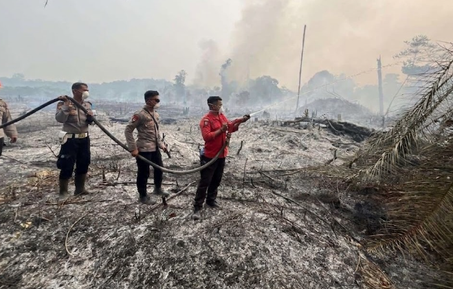 Tujuh Titik Kebakaran Lahan Hanguskan 5,2 Hektare di Sekayam
