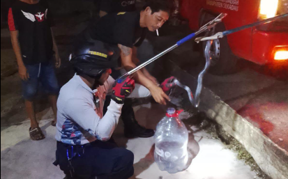 Ular Kobra Hitam Sembunyi di Belakang TV Rumah Warga Sekadau
