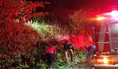 Ulah Oknum Diduga Pemicu Kebakaran Lahan di Halmahera Timur