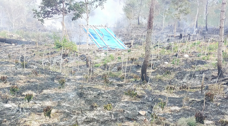 Kebakaran Hanguskan 20 Hektare Lahan di Bener Meriah Aceh