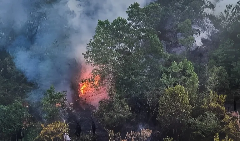 5.170 Titik Panas Terdeteksi di Kalbar, Warga Diminta Waspadai Karhutla