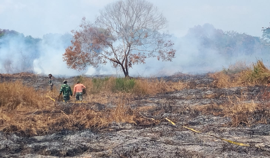 Karhutla Hanguskan 27 Hektare Lahan di Marangkayu Kutai Kartanegara