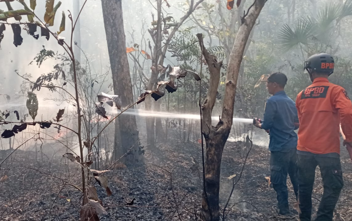 Kebakaran Lahan 6 Hektare di Kulo Sidenreng Rappang