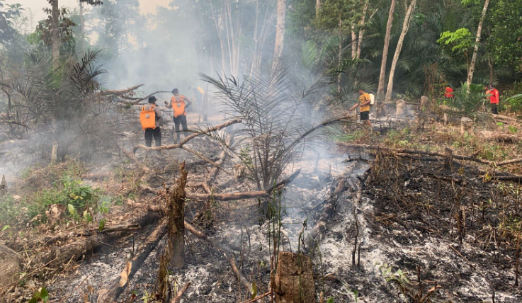 Kebakaran Lahan di Sekayam: Tim Gabungan Kerahkan Pompa Air Padamkan 10 Titik Api