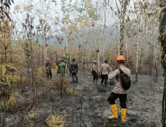 Kebakaran Lahan 1,5 Hektare Gempur Desa Tani Makmur