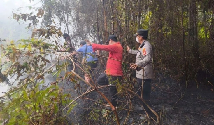Terdeteksi BRIN Fire Hotspot, Tiga Titik Panas di Sekayam Ternyata Area Pertanian Warga