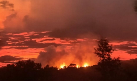 Karhutla Meluas ke 15 Kecamatan, Ketapang Darurat Air Bersih dan Pemadaman Udara