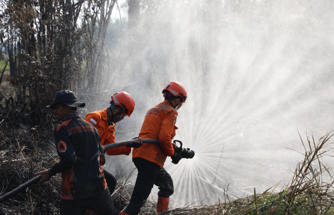 Tim Satgas Darat BPBD dan Basarnas Intensifkan Pendinginan Lahan di Muaro Jambi