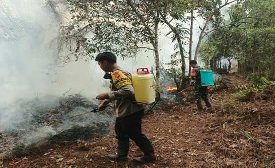 Kebakaran Lahan Padi Warga di Desa Ensalang Sekadau