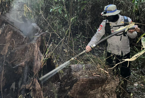 Cegah Api Susulan, 42 Personel Gabungan Lakukan Pendinginan Lahan di Tayan Hilir