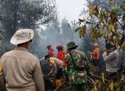 Tim Gabungan Masih Tangani Karhutla 36 Hektare di Singkawang
